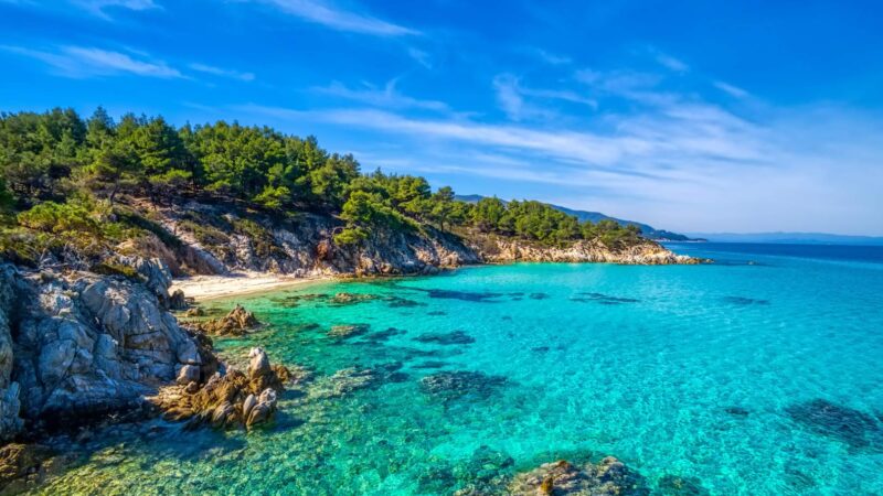 Turquoise waters and pine-covered coastline of Halkidiki in northern Greece under a bright blue sky.