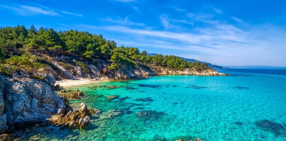 Turquoise waters and pine-covered coastline of Halkidiki in northern Greece under a bright blue sky.