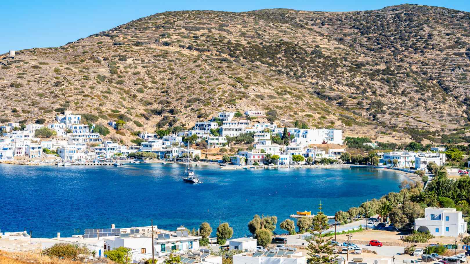 AMO – KATAPOLA